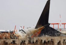 Questions Raised Over Airport Wall After Jeju Air Plane Crash