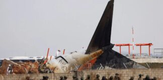 Questions Raised Over Airport Wall After Jeju Air Plane Crash
