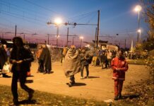 International Migrant Day