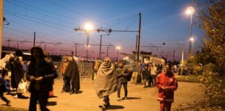 International Migrant Day