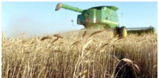 China to Establish Robotic Agriculture Plant in Punjab