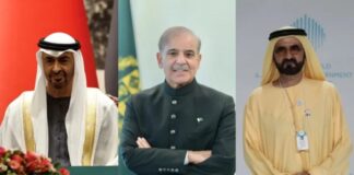 PM Shehbaz remarks on UAE National Day