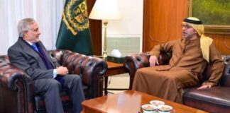 UAE to Streamline Visa Procedures for Pakistani Applicants