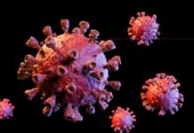 HMPV Reported in India: Two Babies Test Positive