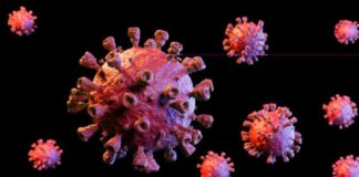 HMPV Reported in India: Two Babies Test Positive