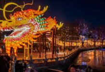 Lunar New Year 2025: A Guide to the Year of the Snake