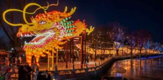 Lunar New Year 2025: A Guide to the Year of the Snake