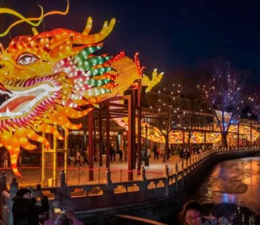 Lunar New Year 2025: A Guide to the Year of the Snake