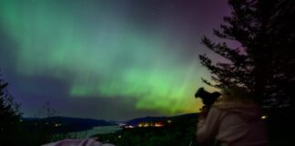 When to See Blood Moons, Meteor Showers and Eclipses in 2025