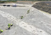Hundreds of Dinosaurs Footprint Found in UK Quarry