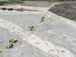 Hundreds of Dinosaurs Footprint Found in UK Quarry