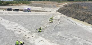 Hundreds of Dinosaurs Footprint Found in UK Quarry