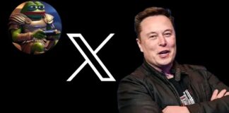 Elon Musk Changes His Name On X To 'Kekius Maximus'