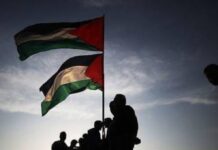 Gaza Ceasefire Explained: What to Expect in the Future?