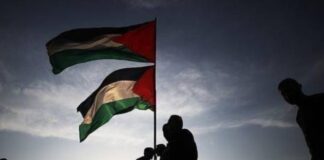 Gaza Ceasefire Explained: What to Expect in the Future?