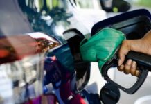Govt Increases Petrol, Diesel Prices for Next Fortnight