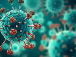 What is HMPV Virus and What are its Symptoms?