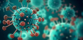 What is HMPV Virus and What are its Symptoms?