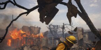 Climate 'Whiplash' Linked to Raging LA Fires