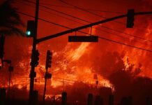 Los Angeles Declares a State of Emergency Due to a Wildfire
