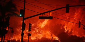 Los Angeles Declares a State of Emergency Due to a Wildfire
