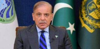 PM Shehbaz Sharif Highlights Digital FDI Initiative’s Role