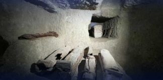 Temple of Queen Hatshepsut Reveals 1,500 Decorated Blocks