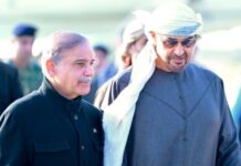 UAE President Hints at More Investment in Pakistan