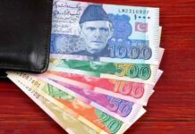 SBP to Roll out New Bank Notes with Updated Designs