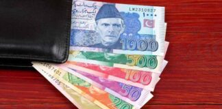 SBP to Roll out New Bank Notes with Updated Designs