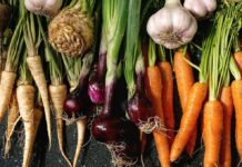 Top 5 Seasonal Winter Vegetables and their Recipes You Need to Try