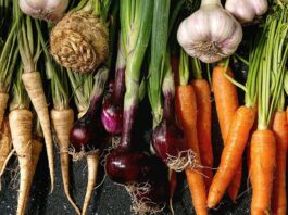 Top 5 Seasonal Winter Vegetables and their Recipes You Need to Try