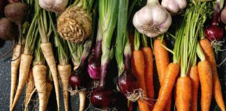 Top 5 Seasonal Winter Vegetables and their Recipes You Need to Try