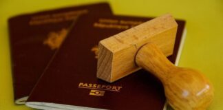 World’s Most Powerful Passports in 2025: Where does Pakistan rank?