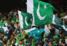 Cricket Returns Home