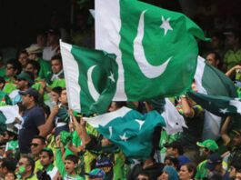 Cricket Returns Home