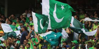 Cricket Returns Home
