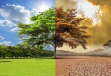 Pakistan Seeks Germany's Support to Meet Climate Commitments