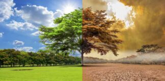 Pakistan Seeks Germany's Support to Meet Climate Commitments