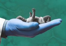 Lab-Grown Sperm and Eggs May Soon Let Parents Design their Future Children