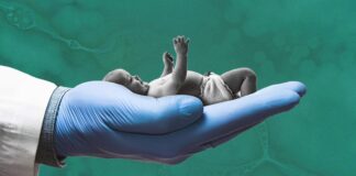 Lab-Grown Sperm and Eggs May Soon Let Parents Design their Future Children