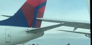 JAL Boeing 787 Hits Delta Plane’s Tail While Taxiing