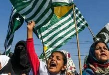Kashmir Solidarity Day: A Day to Stand with Kashmir