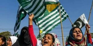 Kashmir Solidarity Day: A Day to Stand with Kashmir
