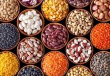 World Pulse Day: Why are Pulses a Miracle Food?