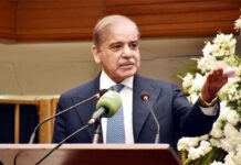 PM Shehbaz Announces Plan to Cut Electricity Costs
