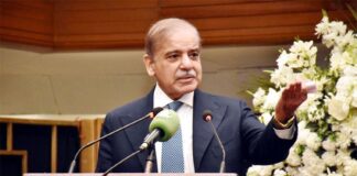 PM Shehbaz Announces Plan to Cut Electricity Costs