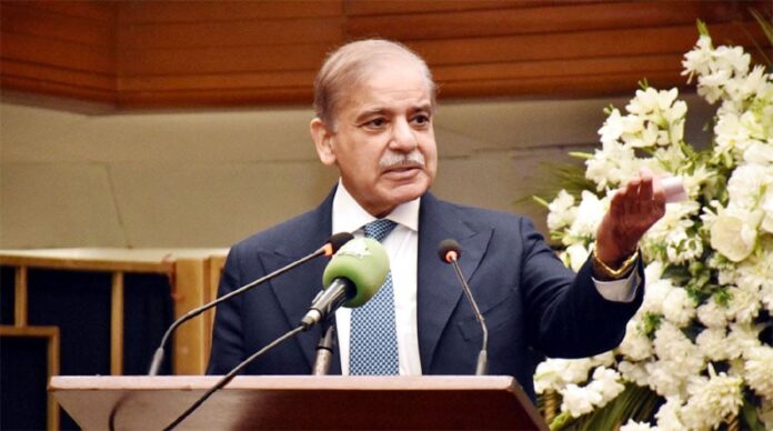 PM Shehbaz Announces Plan to Cut Electricity Costs