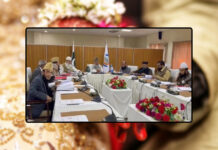 Council of Islamic Ideology Declares First Wife’s Right to Annul Marriage as Un-Islamic