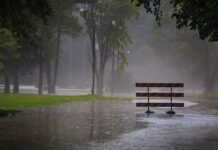 Meteorological Department Has Predicted Rain in Punjab